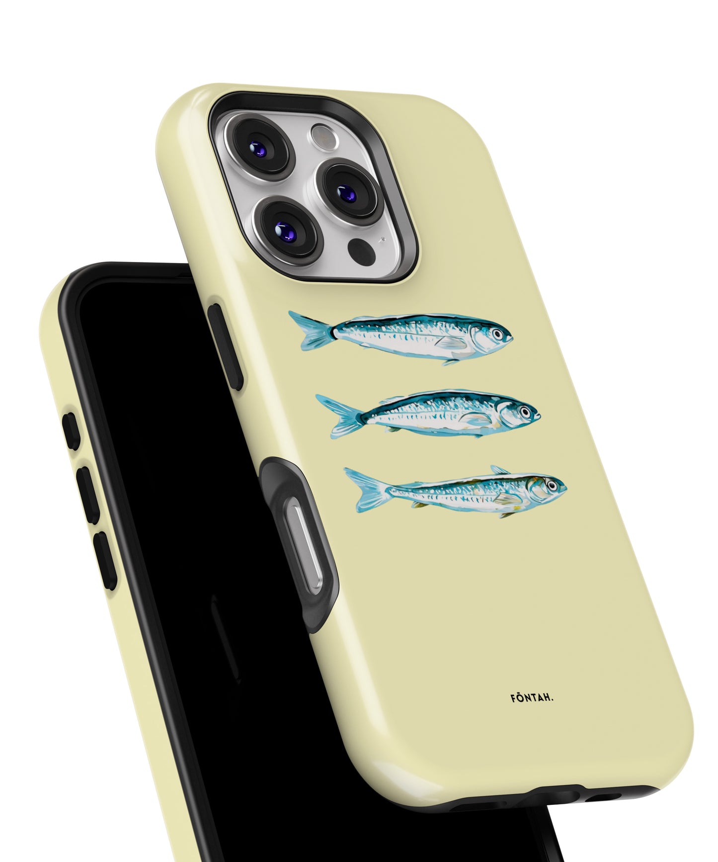 Anchovies